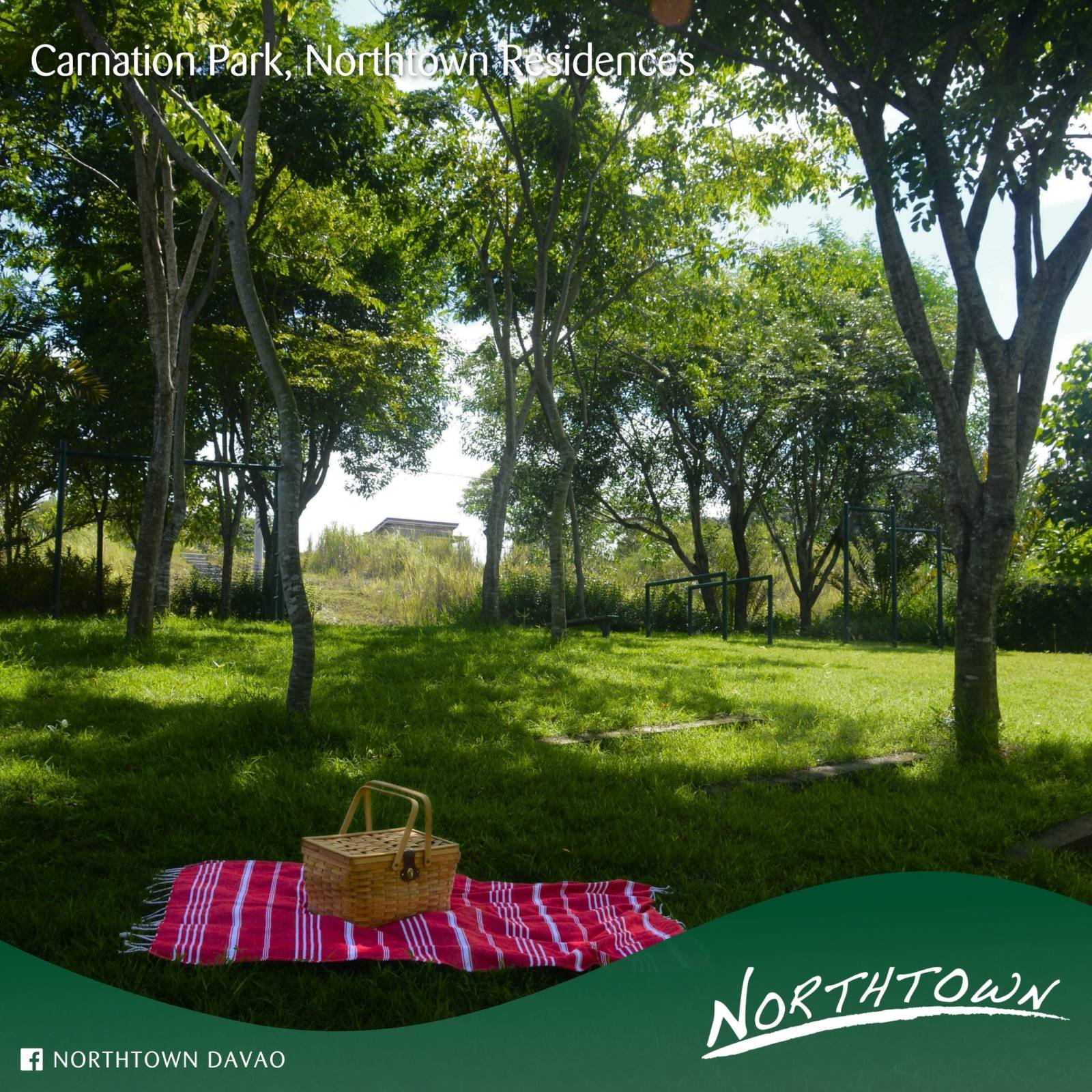 NT Carnation Park